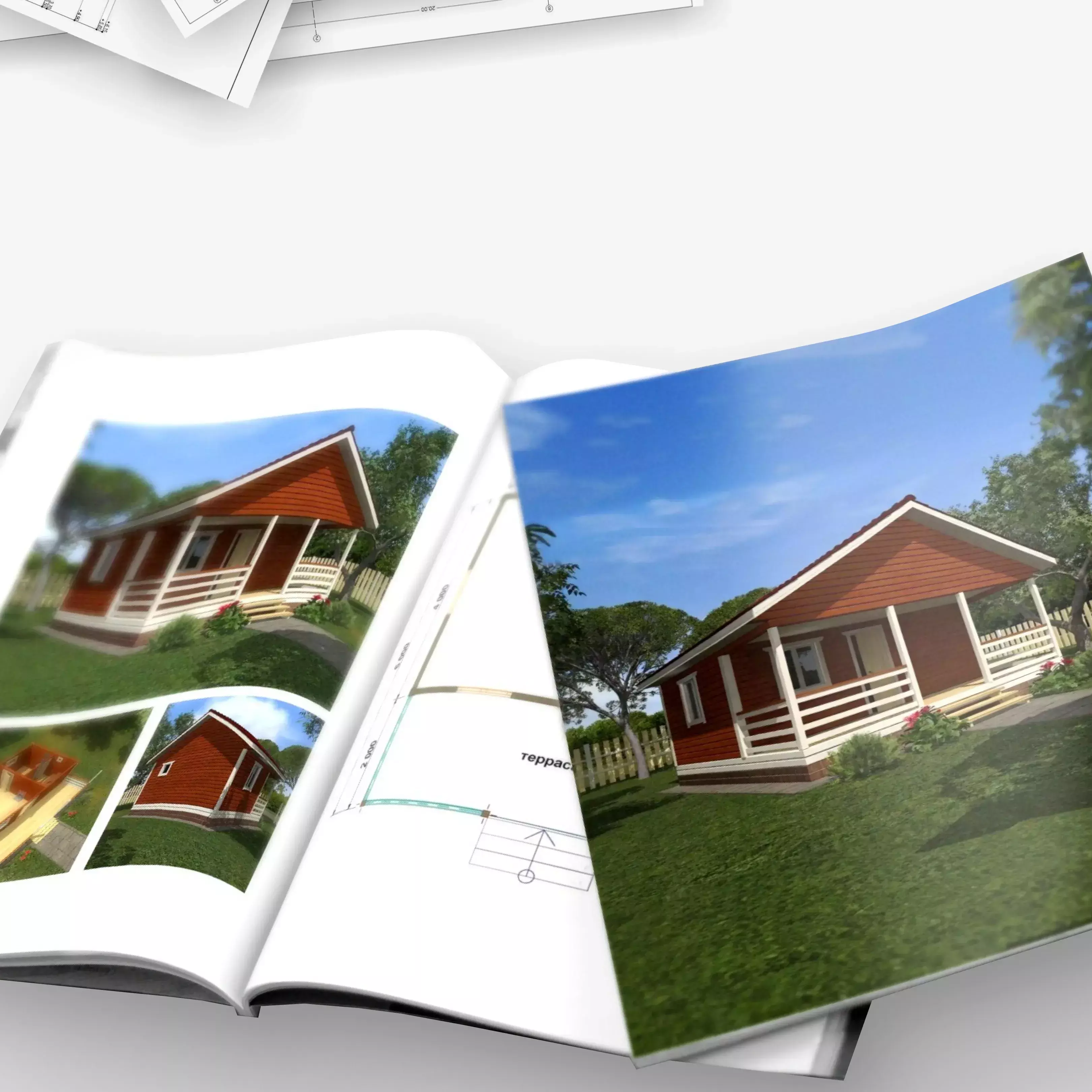 Фото и видео